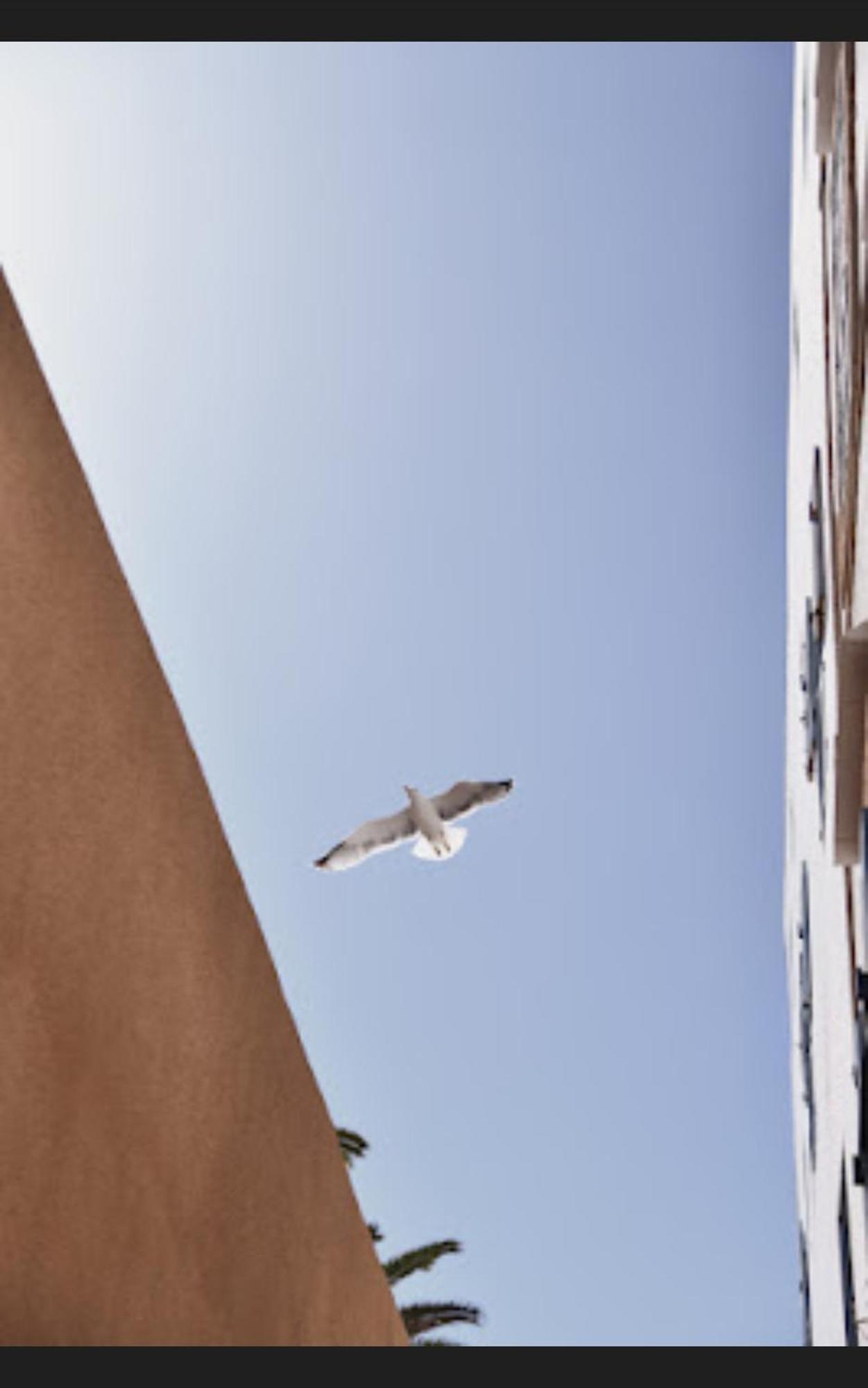Apartamento Loft Incroyable En Medina Esauira Exterior foto